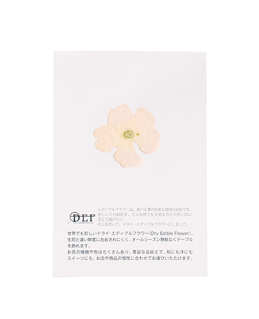 Fleurs comestibles séchées de verveine blanche - Edélices