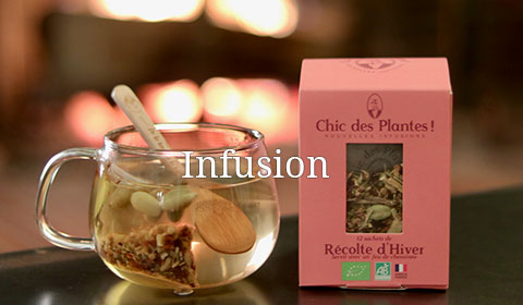 infusions bio bio