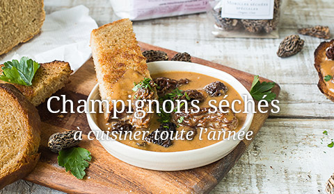 champignons séchés