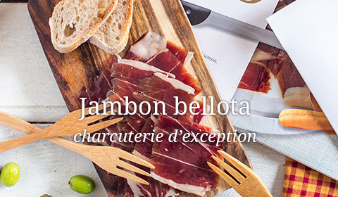 jambon bellota pata negra