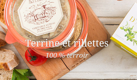 terrine rillettes pate