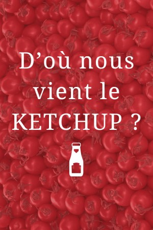 D'où nous vient le Ketchup ?