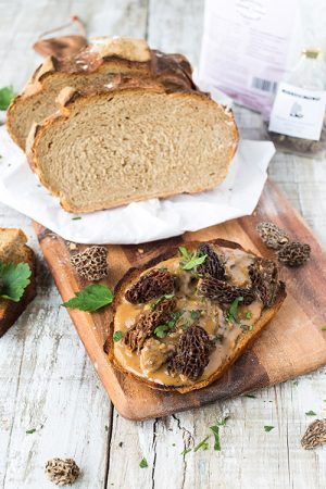 Croûte aux morilles