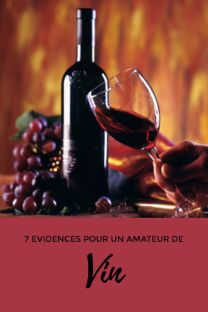 7 évidences pour un amateur de vin