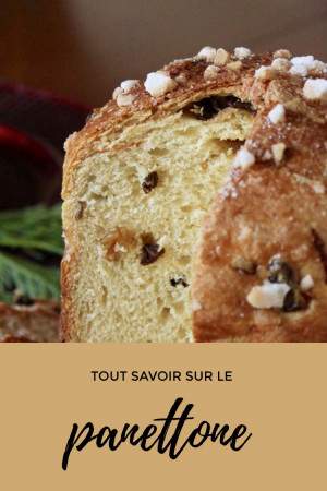 Tout sur le panettone et le pandoro