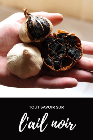 Tout savoir sur l'ail noir