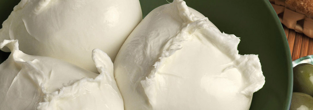 mozzarella di bufala