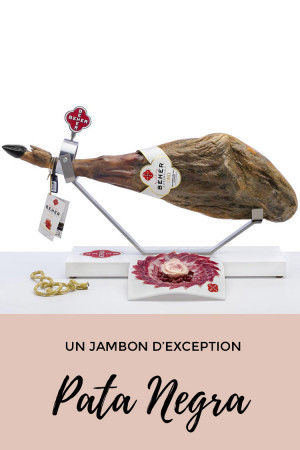 Pata negra : un jambon d'exception