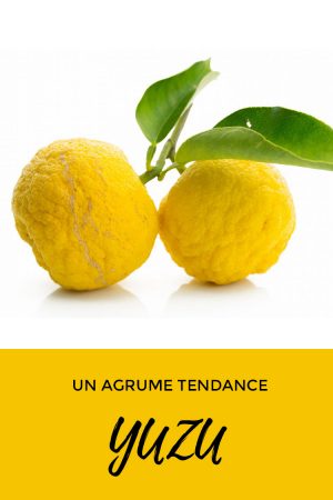 Le yuzu : un agrume tendance