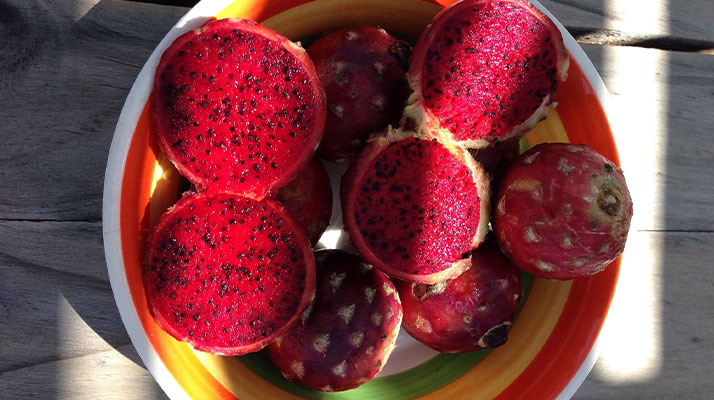 PITAYA - Fruit du dragon 