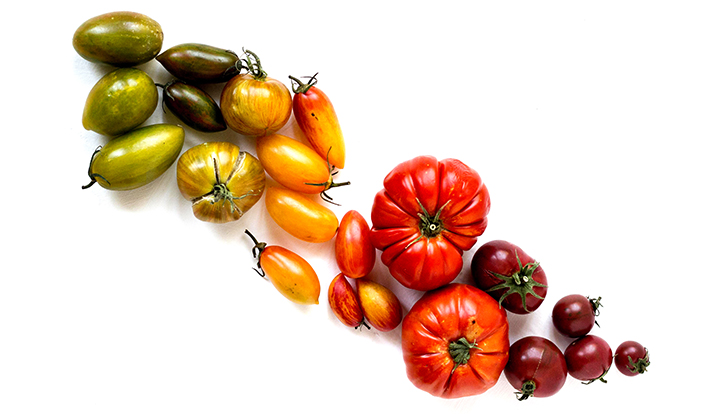 Comment choisir et préparer ses tomates